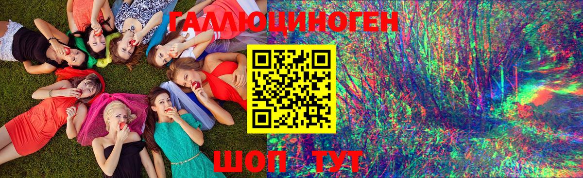 Курчалой  Галлюциногенные грибы мухоморы  Вход с VPN 